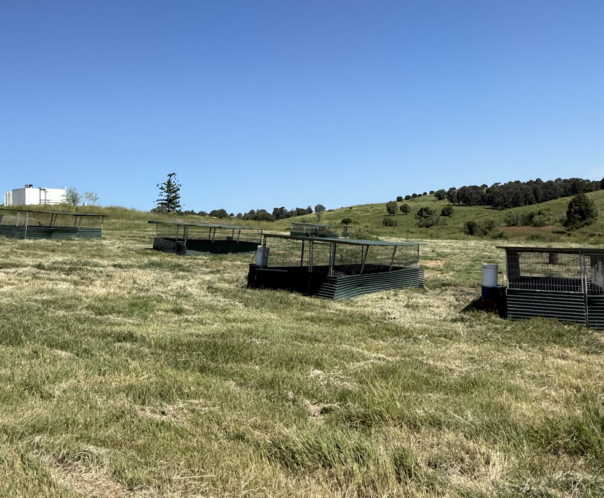 Screen Shot 2025-01-30 at 11_38_48 am Screen Shot 2025-01-30 at 11_38_48 am